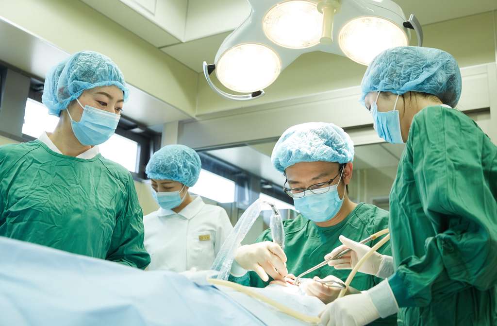 インプラント治療の風景